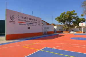 Read more about the article Benito Juárez Coliseum