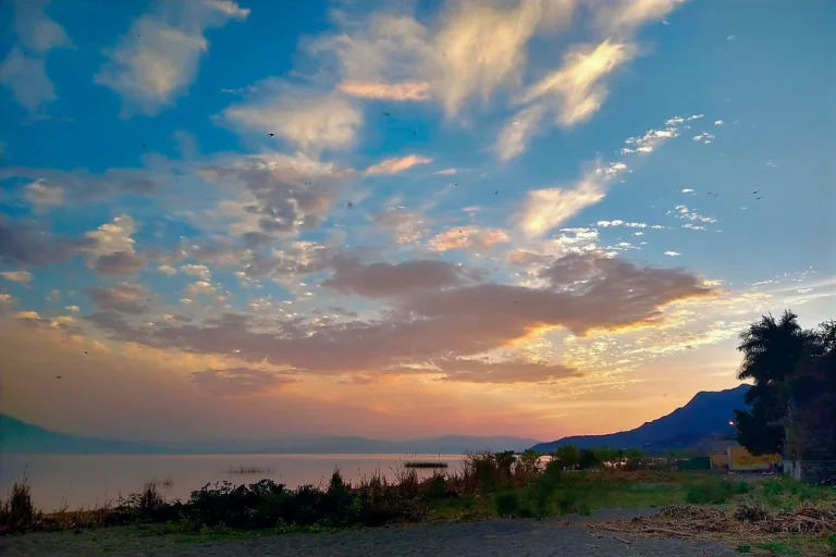 Read more about the article Nature in the Lakeside