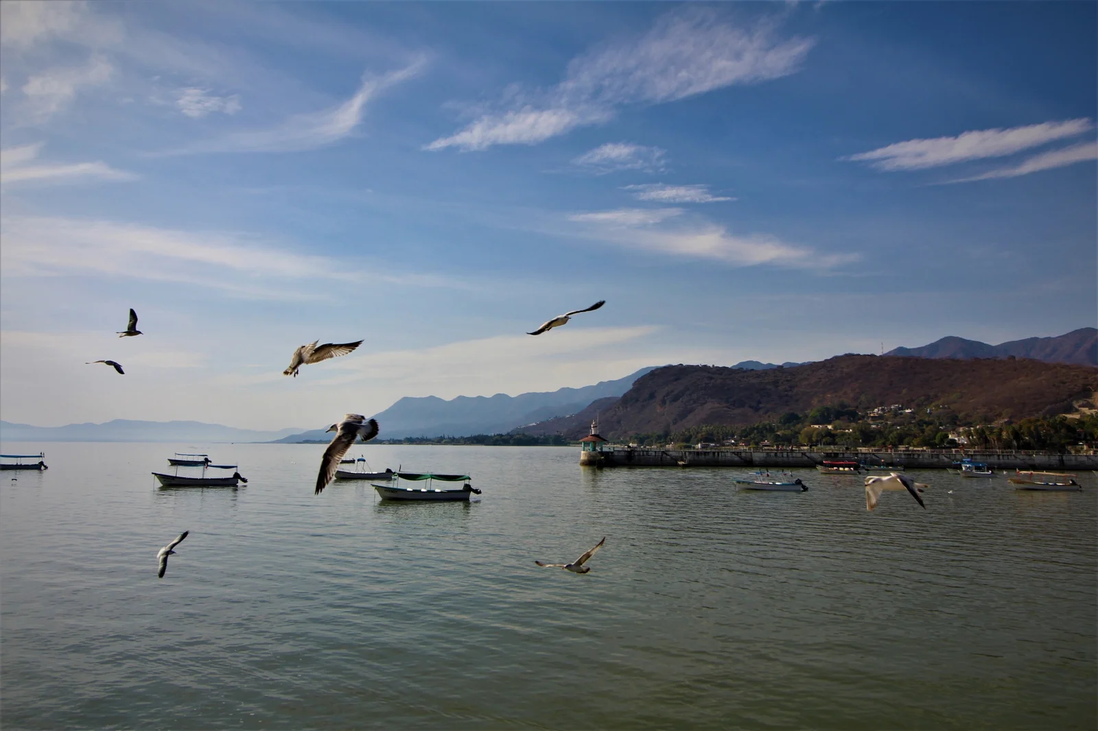 You are currently viewing Incredible climate and natural beauty