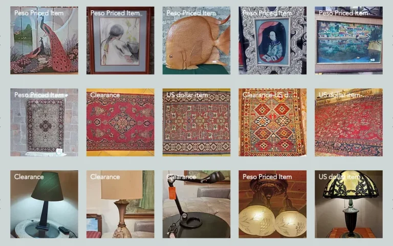 Read more about the article Purchase of Household Goods in Lake Chapala